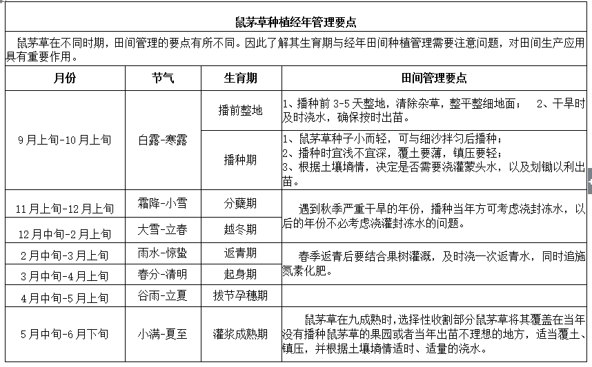 熊蜂丨熊蜂授粉丨熊蜂授粉技術(shù)丨Biobest碧奧特熊蜂丨大棚西紅柿授粉丨大棚番茄授粉丨大棚草莓授粉丨鼠茅草丨鼠茅草種子丨鼠茅草種子價(jià)格丨嘉禾源碩