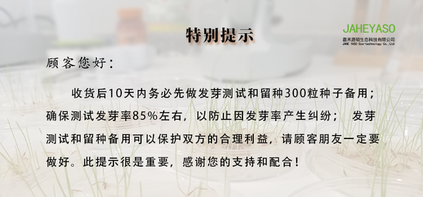 鼠茅草,鼠茅草種子,鼠茅草價格,鼠茅草廠家,鼠毛草,果園綠肥,綠肥,鼠茅草種植視頻，鼠茅草圖片，防止土壤流失，護坡，土壤修復，嘉禾源碩